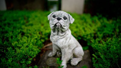 La iniciativa también subraya que la responsabilidad hacia las mascotas debe continuar incluso después de su muerte