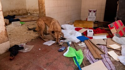 Se encontraban en condiciones deplorables, entre suciedad y falta de alimento