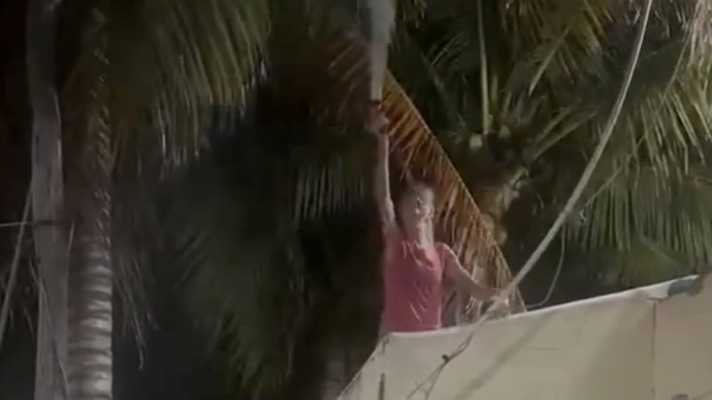 VIDEO: Extranjera agrede a familia mexicana y la bautizan como #LadyManguera