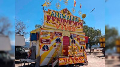 En un modo de crueldad animal, exhibían a especies con malformaciones