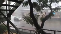 VIDEOS: Activan Alerta Púrpura para Cuauhtémoc y Roja por lluvias en Azcapotzalco y Miguel Hidalgo