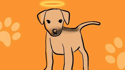 El perrito merodeaba las instalaciones del plantel y se ganó el cariño de estudiantes