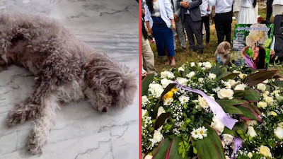 Ella es Lenny, la abogada que murió protegiendo a su perrito durante el terremoto de Colombia