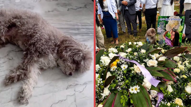 Ella es Lenny, la abogada que murió abrazando a su perrito durante el terremoto de Colombia