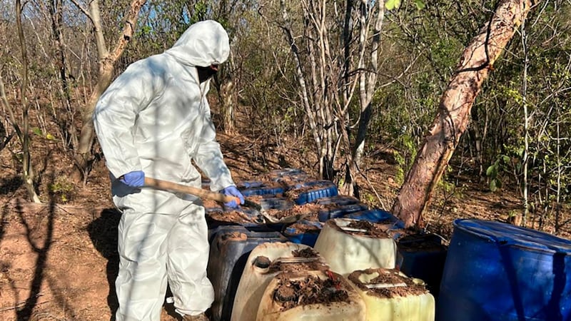 EU presiona a México para que sus militares ataquen a los cárteles, asegura el NYT