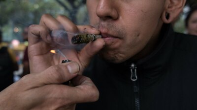 En los últimos años se han presentado varias iniciativas de ley para legalizar la cannabis para distintos usos