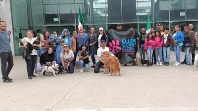 En Ensenada, pidieron que se aumente los castigos para quienes ejerzan maltrato