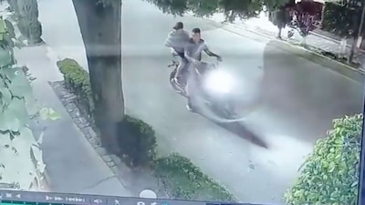 De la nada, hombres a bordo de una motocicleta agredieron al perrito que descansaba sobre la acera