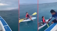 VIDEO: pescadores rescatan a niña que se quedó a la deriva en tabla de paddle, en La Paz