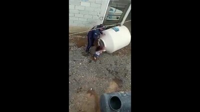 Los vecinos reportaron que una niña se encontraba llorando y pidieron ayuda adentro de un tinaco