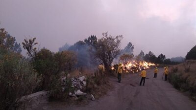 Los gobiernos municipales de Amecameca y Ozumba suministraron los insumos