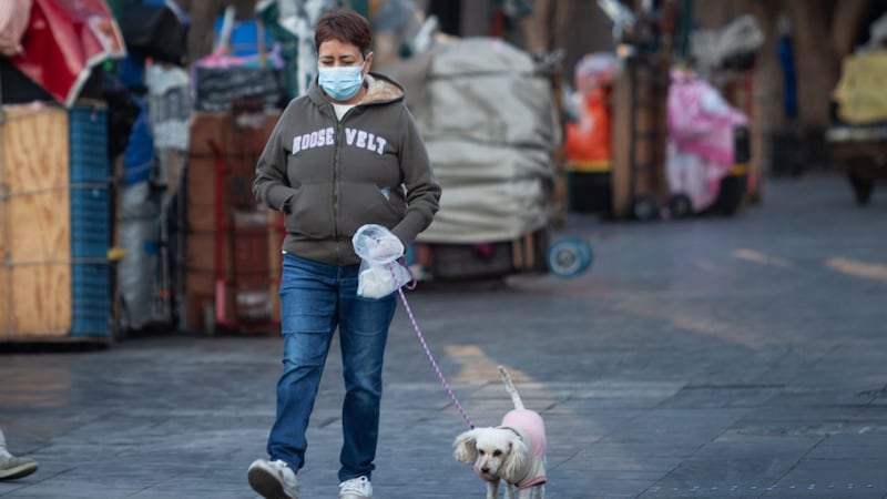 Nuevo Frente Frío llegará este viernes a México; autoridades llaman a extremar precauciones