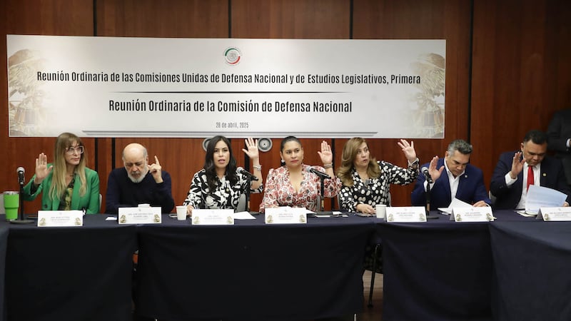 Avanza en el Senado reforma que permitiría portar armas a trabajadores de CFE, Pemex y Banxico