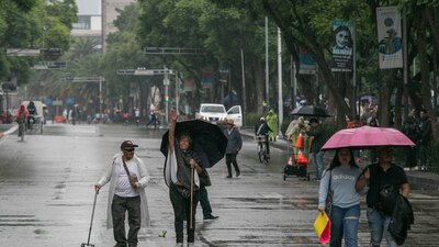 Autoridades alertaron por la posible caída de ramas, árboles y lonas