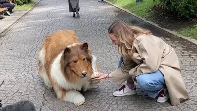 El creador de contenido ha comenzado a compartir videos de su vida como canino