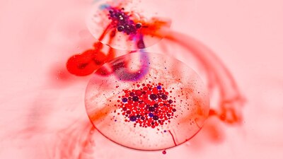 Bacterias de las familias Salmonella enterica y Escherichia coli se sienten atraídas por la sangre