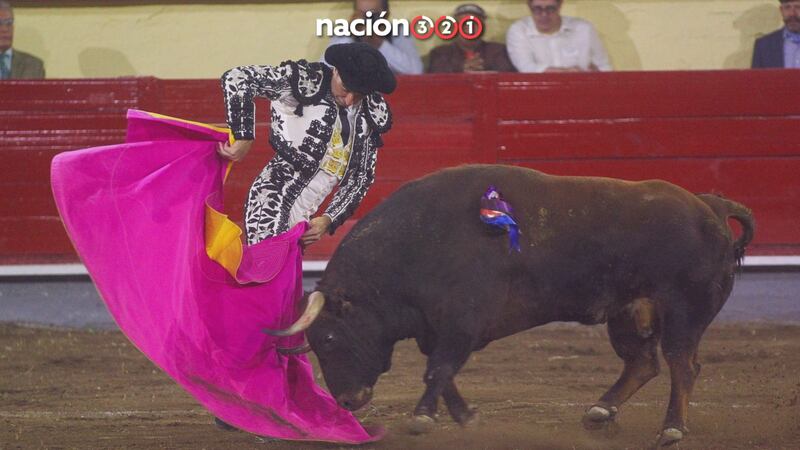 ¿En qué va la discusión sobre la prohibición de corridas de toros en la CDMX?