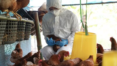 Hasta ahora, las autoridades no saben dónde estuvo expuesto el paciente al virus