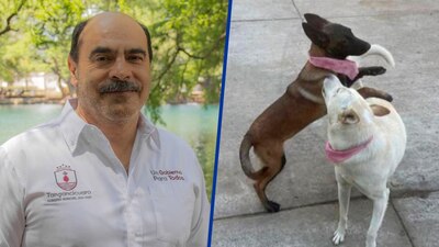 El alcalde señaló que fue en defensa propia