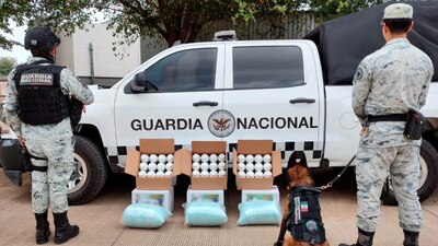 Localizaron 72 botellas de plástico