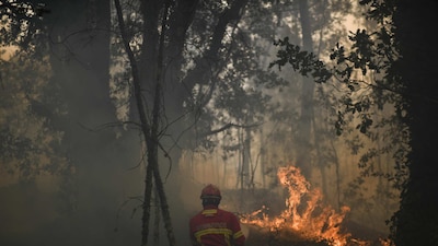 El incendio en Portugal es uno de los más mortíferos en la historia de ese país