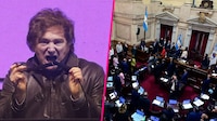 Congreso de Argentina rechaza veto de Milei y aprueba fondos para personas con discapacidad