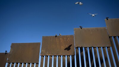 La barrera artificial podría afectar a cientos de especies animales
