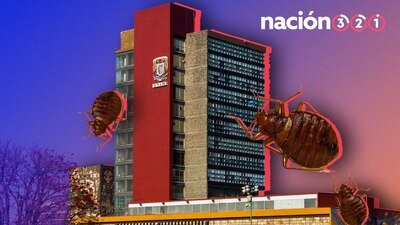 Autoridades han descartado presencia de chinches en la UNAM