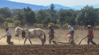 La producción agropecuaria debe ser una prioridad.