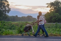 Preparativos para la gran repatriación