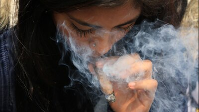 La marihuana se obtiene de hojas y flores secas de la planta del cáñamo y la sustancia química que provoca euforia y alucinación es el THC