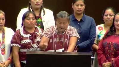 La diputada habló en la tribuna de la Cámara de Diputados