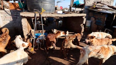 Nitin México pidió a la población estar en alerta