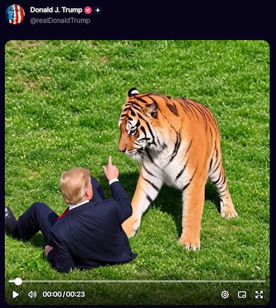 alt default