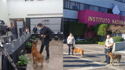 Claudia Sheinbaum acusó al Instituto de gastar su presupuesto en las 'mascotas del personal'