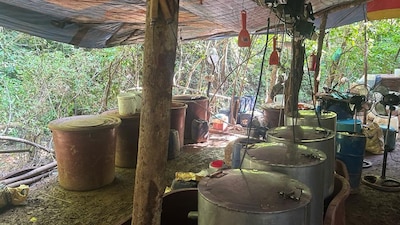 Fue encontrado en el municipio de Rosamorada