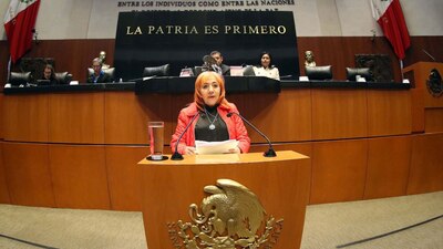 Afirmó que durante su gestión al frente de la CNDH se han emitido 12 recomendaciones contra la Guardia Nacional