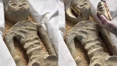Hace unos días mostró dos supuestas momias "no humanas"