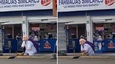 El perrito juguetón y la botarga se divirtieron unos momentos en la calle