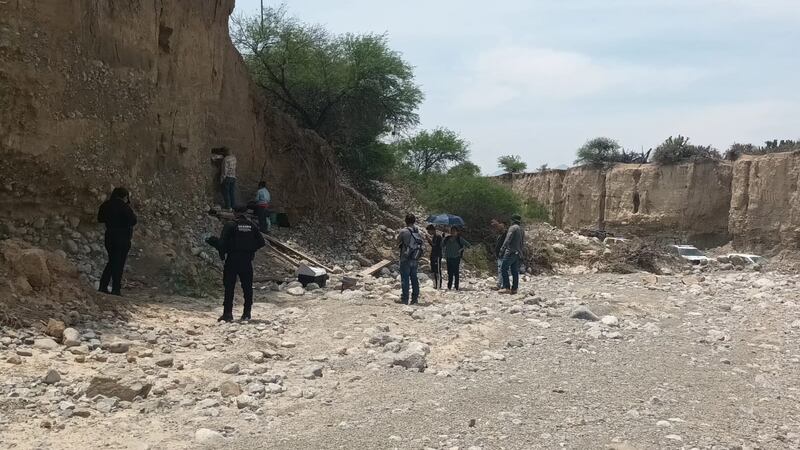 Encuentran posibles restos de mamut en Tula, Tamaulipas