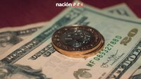 Peso mexicano pierde con todo ante el dólar; se ubica en 20.77 unidades