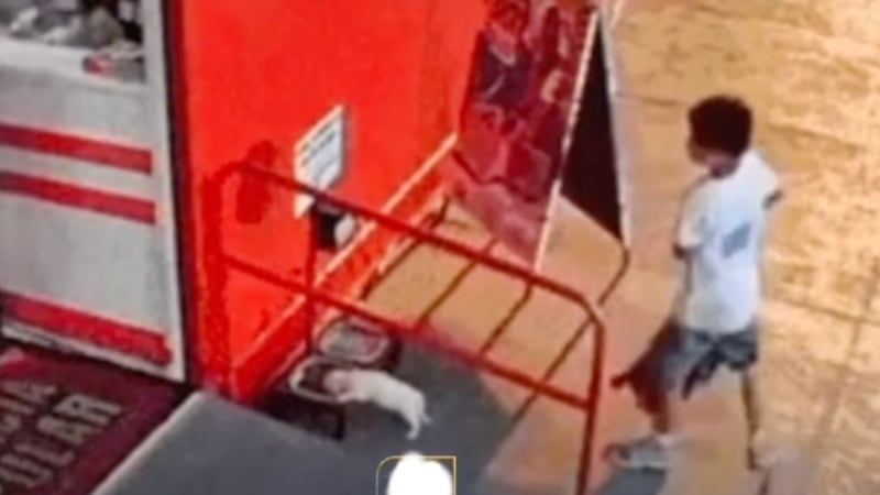 VIDEO: Niño abandona a su perrito afuera de una tienda con comida para ‘lomitos’ callejeros