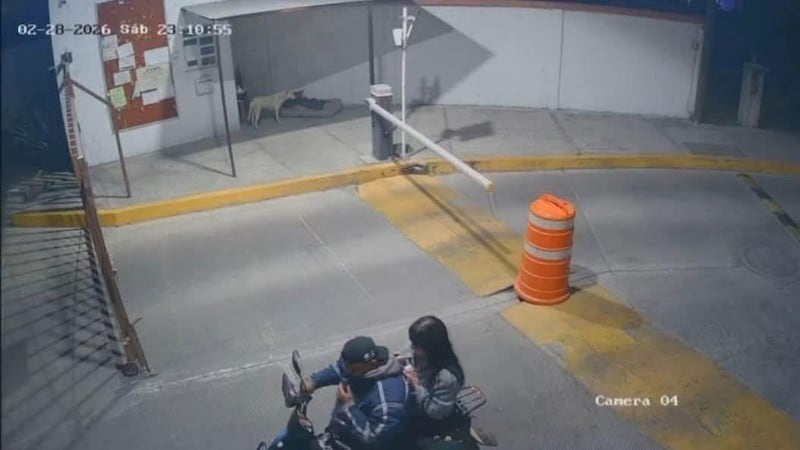 Localizan el cuerpo de Ana Karen, joven desaparecida tras solicitar viaje en Didi