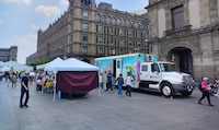 Suspenden ‘Zocalito de las Infancias’ en la CDMX por Contingencia Ambiental, informa Clara Brugada