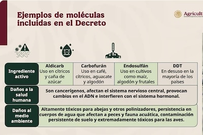 alt default
