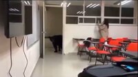 ¿Va a ‘bear’ clase? Oso aparece en aula y sorprende a alumnos de la UANL