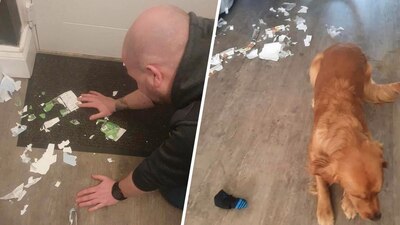 Un aficionado de Inglaterra compartió la anécdota