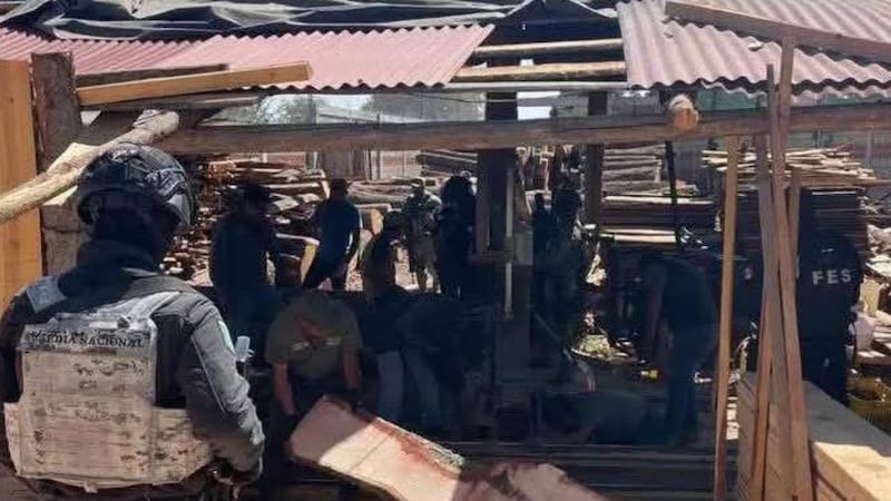 Enfrentamiento con talamontes en Xalatlaco deja una persona fallecida y 6 policías heridos