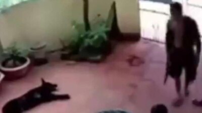 La hazaña del perrito fue reconocida en redes sociales