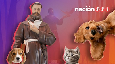 Fue designado por el Papa Francisco II como en santo protector de los animales